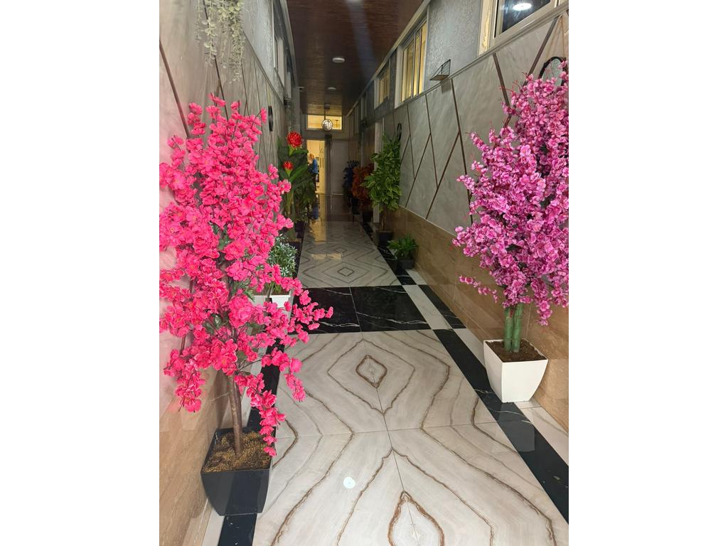 Jepet Apartament me qira 1+1, shtëpi private, Ali Demi,Tiranë