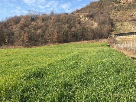 Tokë Arë Për Shitje – IBE, pranë Shkollës së Mesme “Mersin Duqi”, Tiranë