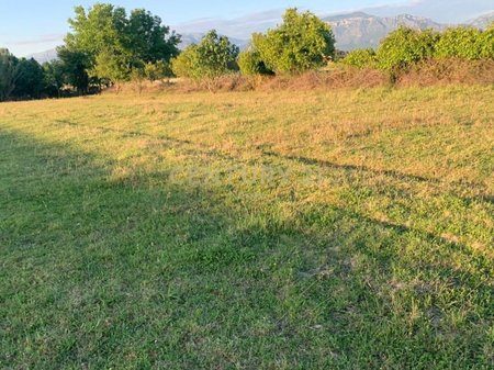 Shesim toke truall ne rrugen dytesore prane City Park!