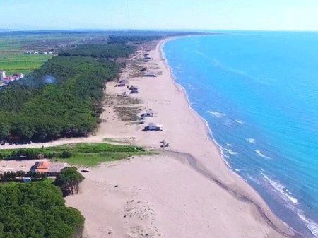 Tokë Për Shitje në  Rreth-Greth, Spille, Kavaje.