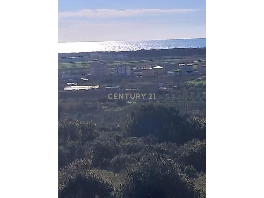 Shitet Tokë në Spille – 5,930 m²