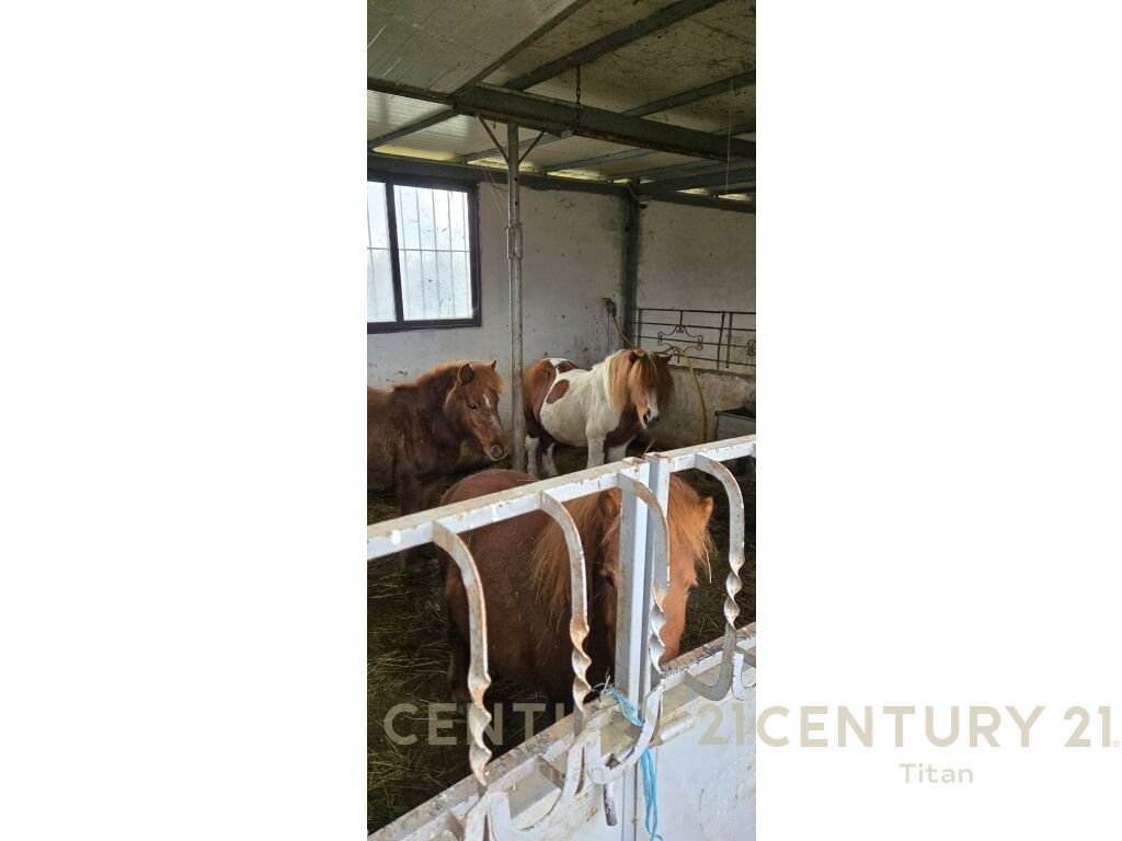 🌿✨ FERME – AGROTURIZËM ME VILA DHE TOKË ME QIRA! PRANE RINASIT!!