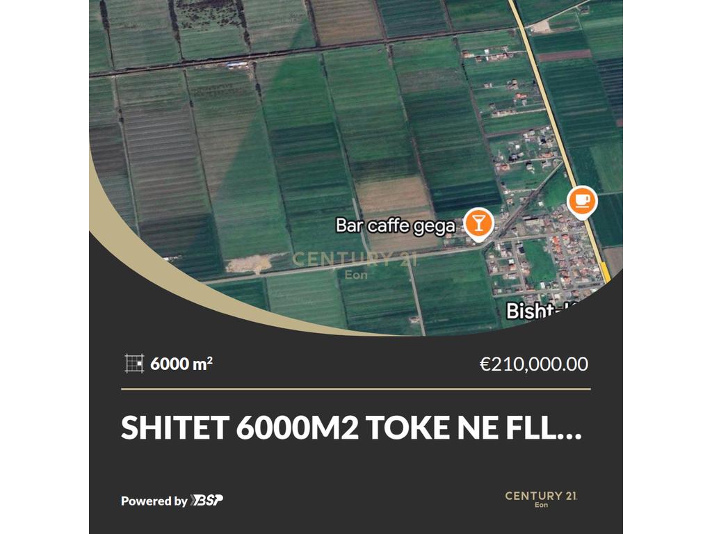 SHITET 6000M2 TOKE NE FLLAKE!
