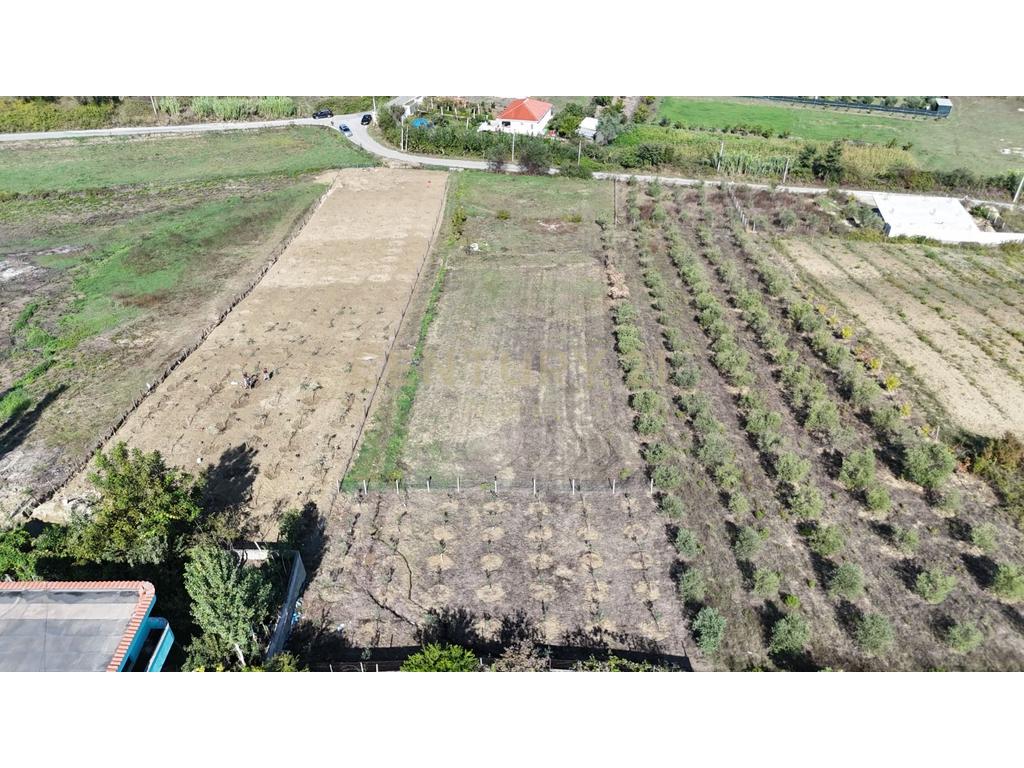 Tokë Për Shitje në Arapaj, Durrës - 22,000€ | 500 m²