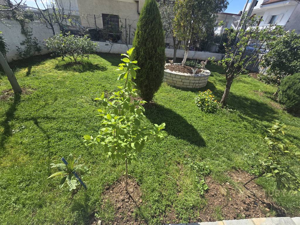 SHITET VILE 3-KATESHE NE BATHORE, KAMEZ!