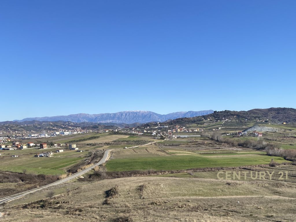 SHESIM TOKË NË MAMINAS, SHIJAK