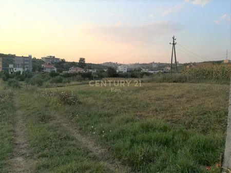 SHESIM 5000M2 TOKE PRANE VINEA RESORT NE SHKALLNUR, DURRES!