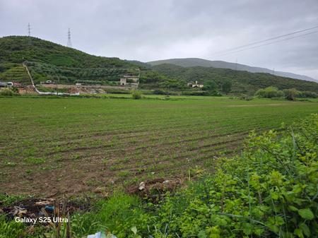 METOQ, SARANDE, SHESIM TOKE BUJQESORE
