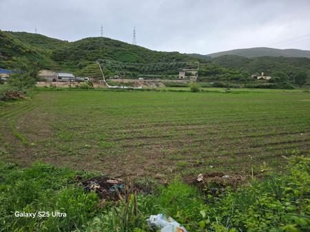 METOQ, SARANDE, SHESIM TOKE BUJQESORE