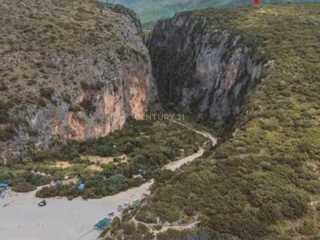 DHERMI, SHESIM TOKE BUZE RRUGE