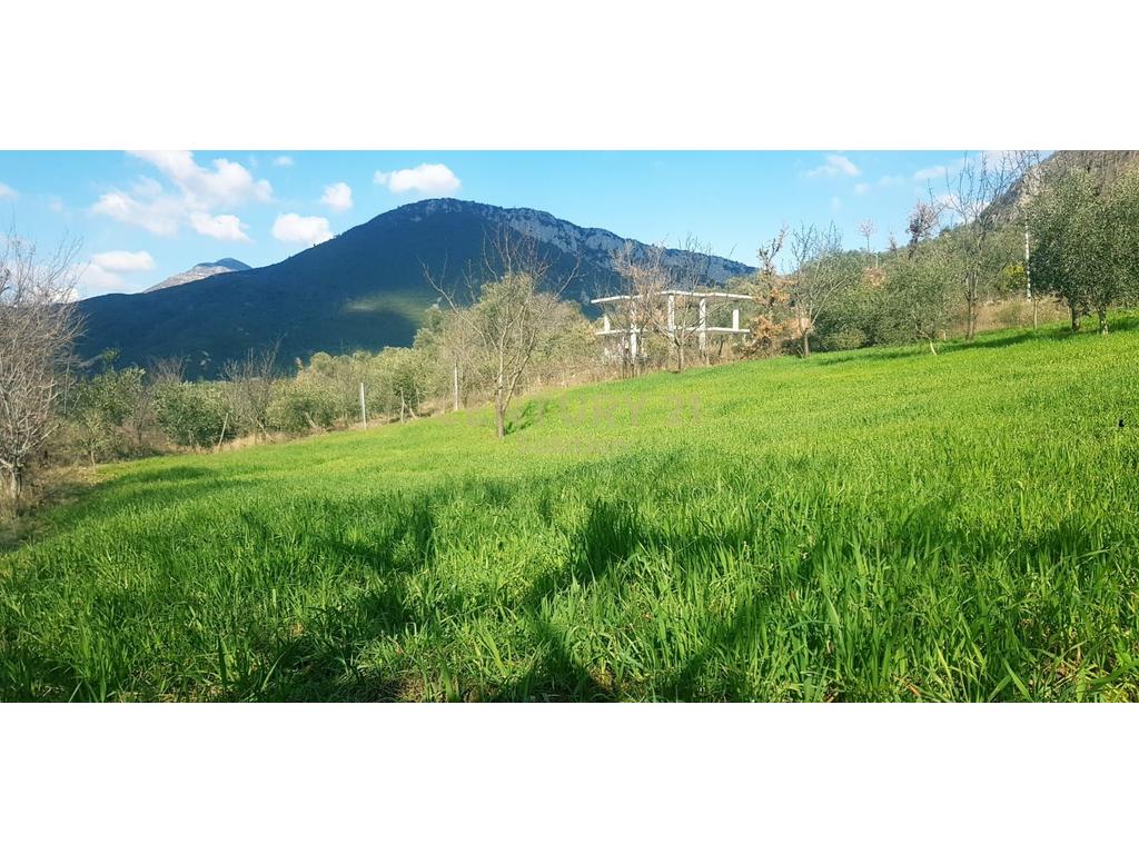 TOKE 2500M2 PER SHITJE NE PELLUMBAS !