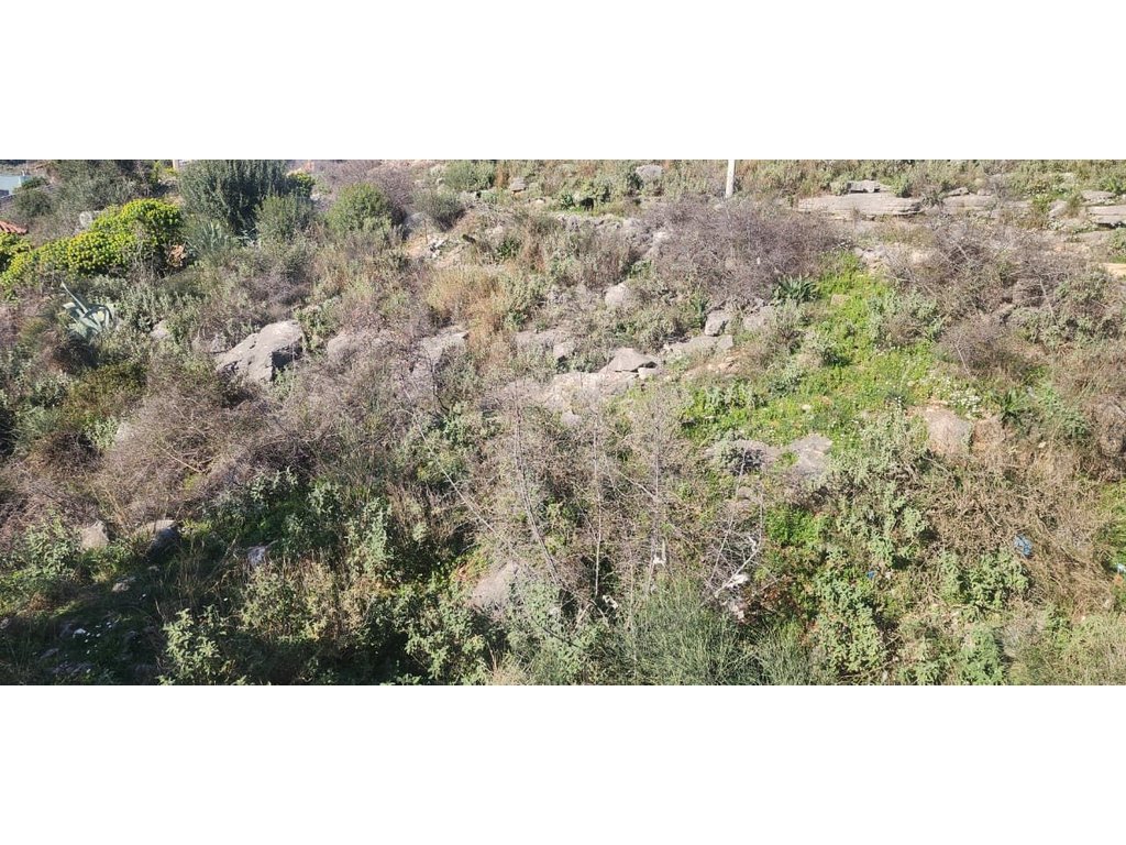 SARANDE, SHESIM TRUALL ME PAMJE NGA DETI