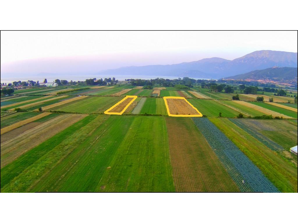 TOKË 2146 M2 PËR SHITJE NË POGRADEC !!!