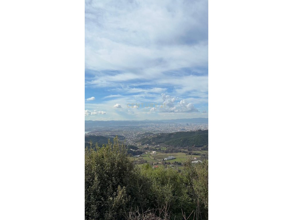 NE ZONEN E DAJTIT PRANE SELECT HILL SHITET TOKE 8000 m²