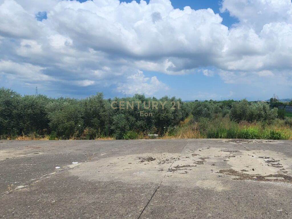SHITET TOKE PER ZHVILLIM BUZE RRUGE PRANE AKSIT DURRES-TIRANE !