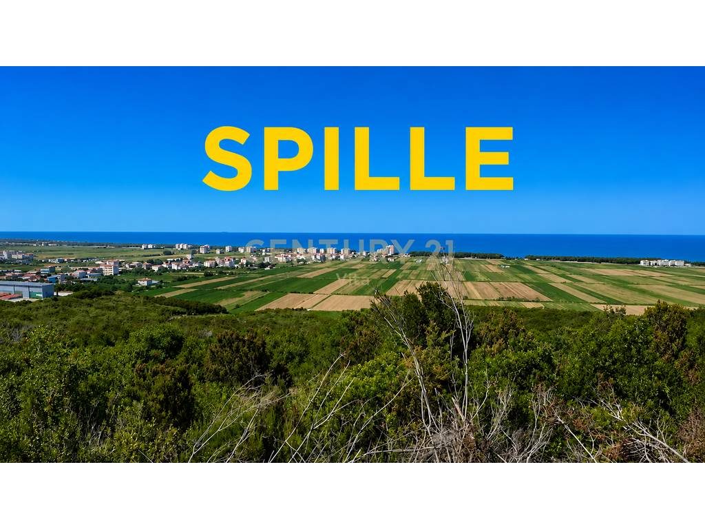 TOKE NE SPILLE  ME PAMJE NGA DETI NE KODER PER SHITJE !