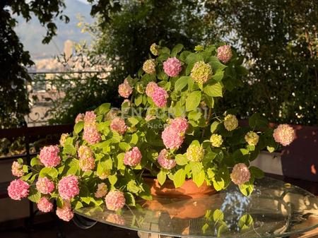 Apartament 1+1 Për Shitje në Rezidencen Kodra e Diellit