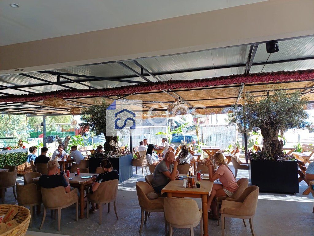 JEPET ME QIRA RESTORANT NE QEPARO (POZICIONI UNIK BUZE DETIT)
