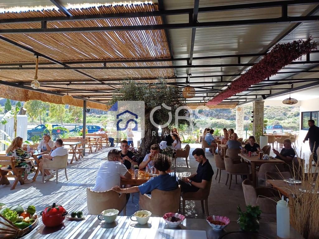 JEPET ME QIRA RESTORANT NE QEPARO (POZICIONI UNIK BUZE DETIT)